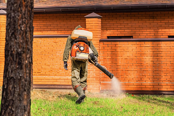 Bed Bug Clearance Verification and Documentation in Eucalyptus Hills